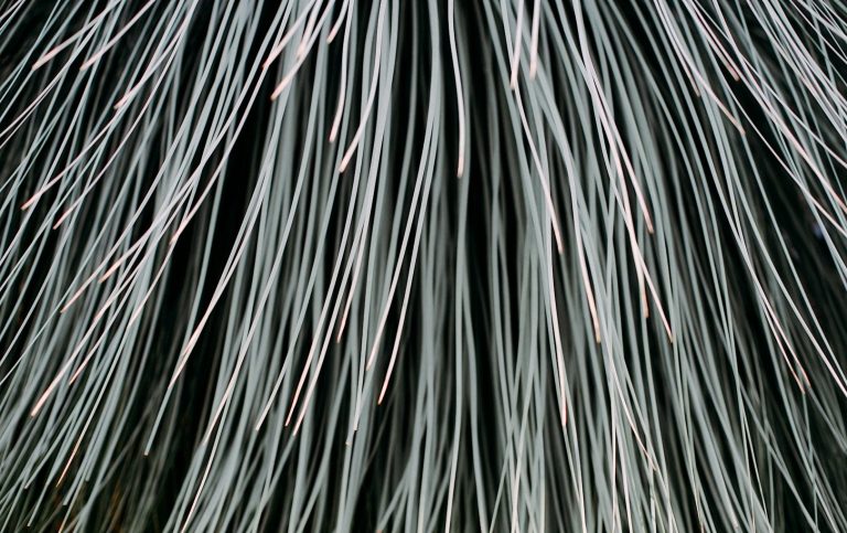 Ein Haufen Glasfasern